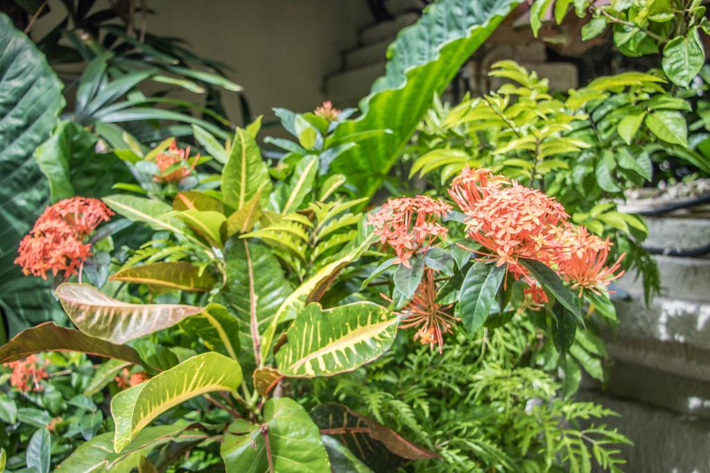 Villa Seriska Seminyak Dış mekan fotoğraf